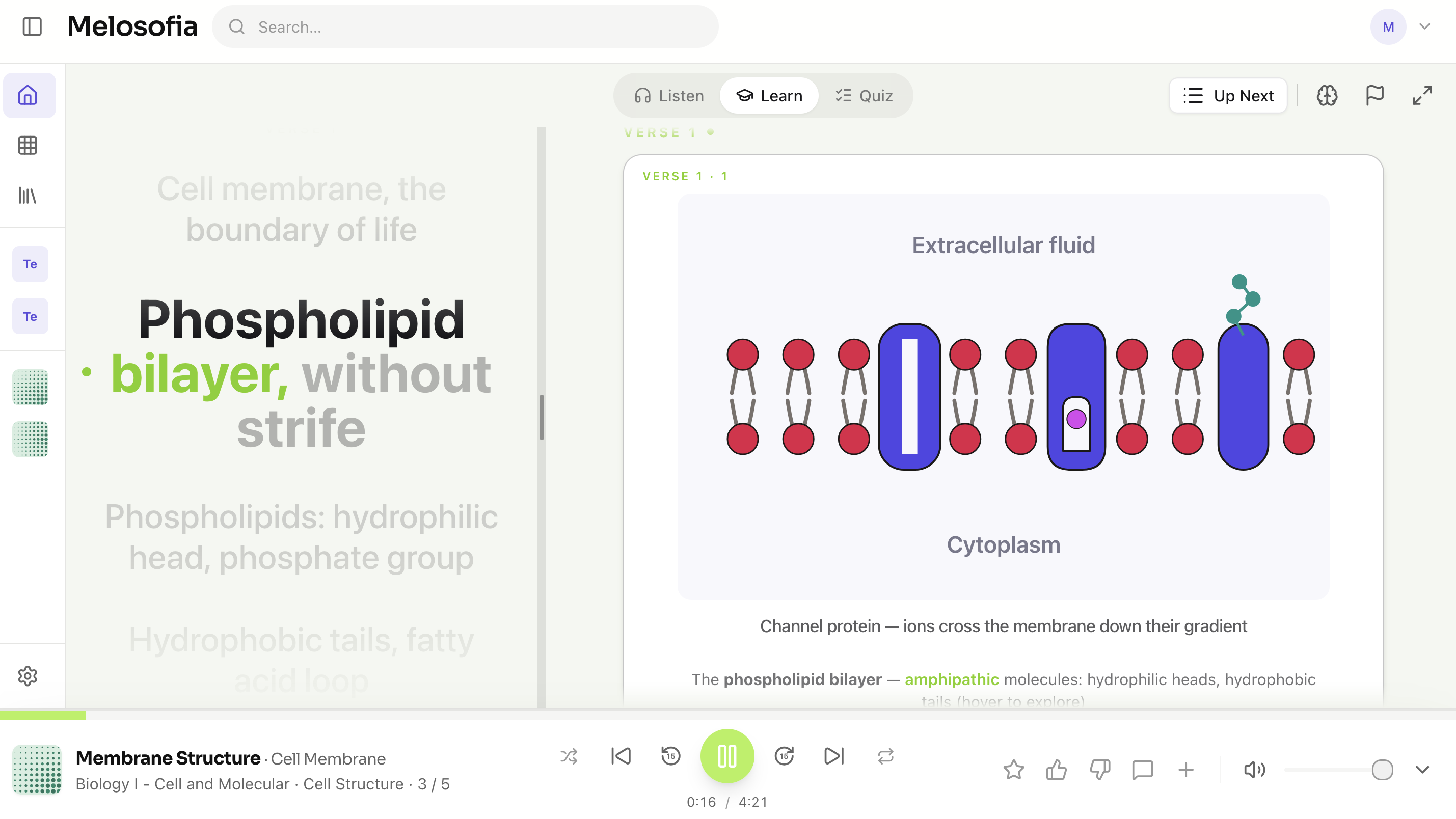 Melosofia in Learn mode: synced lyrics for the song Membrane Structure on the left, and a companion panel on the right showing an animated phospholipid bilayer diagram with notes